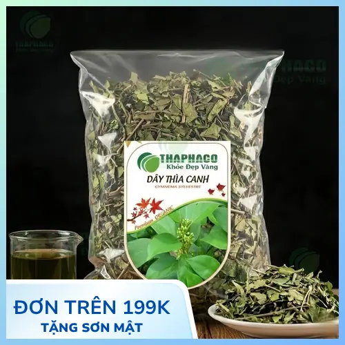 1kg Dây Thìa Canh Giá Rẻ Tại TP.HCM