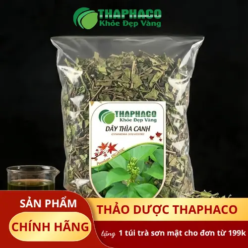 Dây Thìa Canh - Thảo dược hỗ trợ sức khỏe
