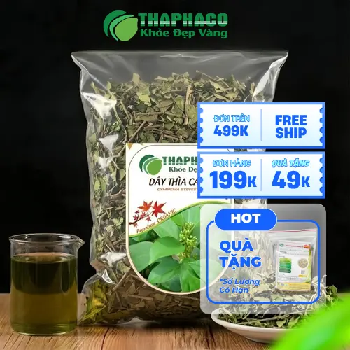 Dây Thìa Canh khô - một loại thảo dược quý
