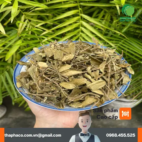 Uống dây thìa canh sai liều lượng