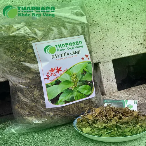 Dây Thìa Canh hỗ trợ đường huyết