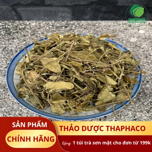 Cách dùng Dây Thìa Canh đúng cách