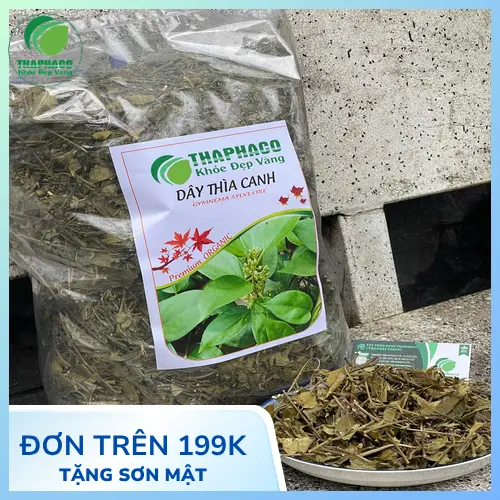 Dây Thìa Canh không phải thuốc thay thế
