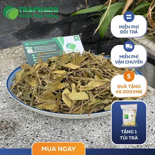 Công nghệ sấy lạnh Dây Thìa Canh tại THAPHACO