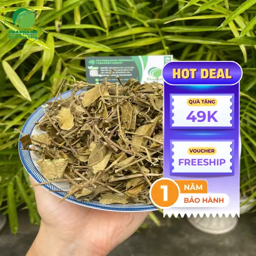 Cách dùng Dây Thìa Canh an toàn