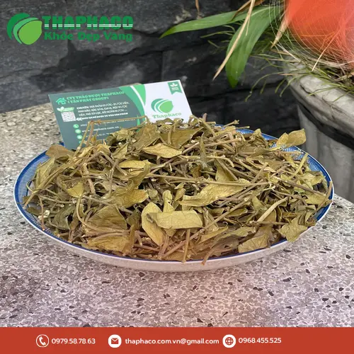 Lưu ý khi dùng dây thìa canh