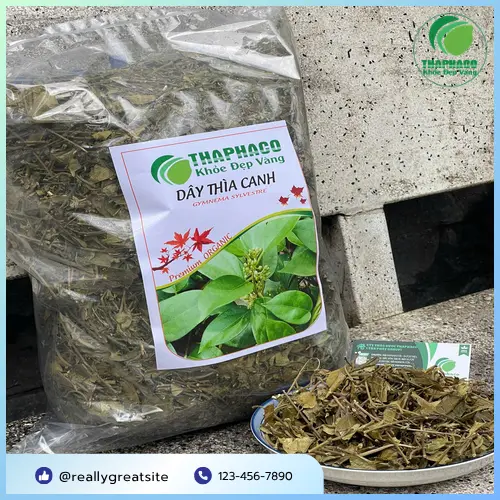 Cách pha trà Dây Thìa Canh hiệu quả