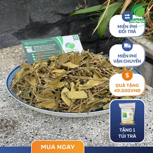 Chọn mua Dây Thìa Canh từ nhà cung cấp uy tín như THAPHACO