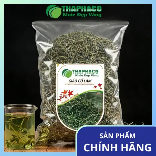 Hình ảnh cây Giảo cổ lam tươi