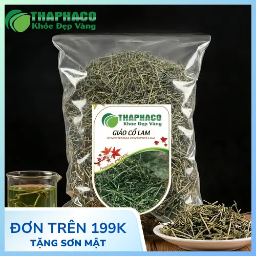 Giảo Cổ Lam là loại cây thân thảo, lá kép hình chân vịt