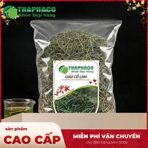 Giảo Cổ Lam là thảo dược quý với nhiều công dụng hỗ trợ sức khỏe