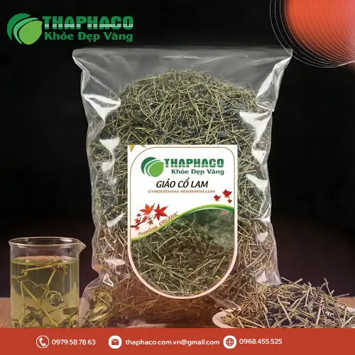 Đặc điểm nhận biết cây Giảo Cổ Lam