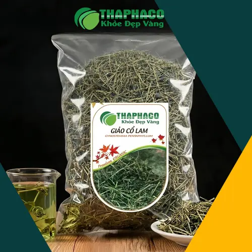 Mua Giảo Cổ Lam Khô Ở Đâu Uy Tín, Chất Lượng?