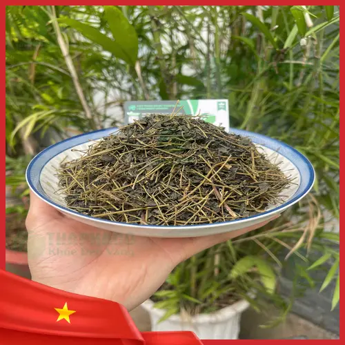 Quy trình sấy khô Giảo Cổ Lam hiện đại tại THAPHACO