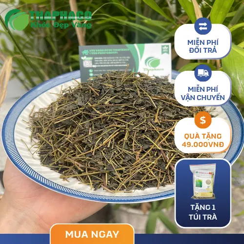 Hình ảnh trà Giảo cổ lam khô