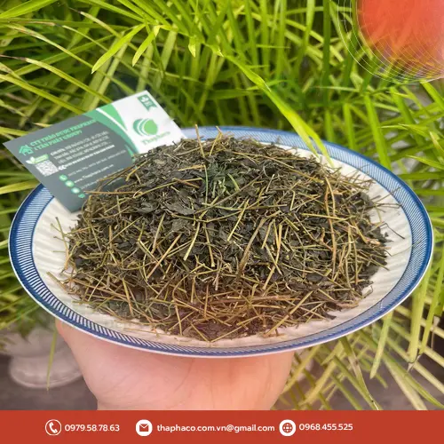 Giảo Cổ Lam khô chất lượng có màu xanh xám tự nhiên