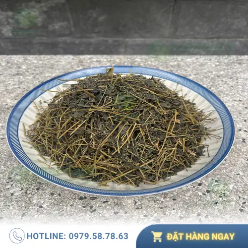 Giảo Cổ Lam khô