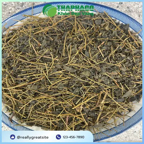 Những đối tượng cần tránh sử dụng Giảo Cổ Lam để đảm bảo an toàn