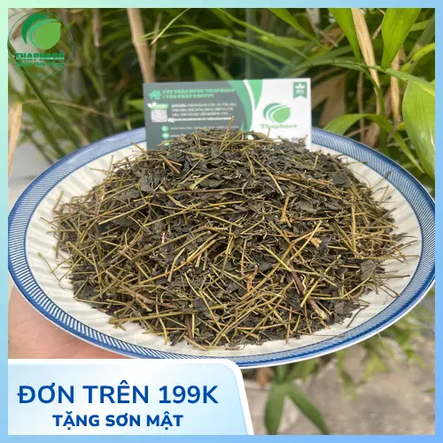 Giảo cổ lam khô chất lượng