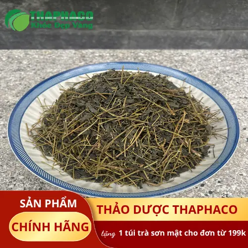 Giảo Cổ Lam hỗ trợ nhiều khía cạnh sức khỏe