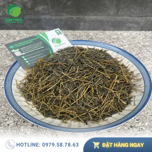 Pha trà Giảo Cổ Lam đúng cách để chiết xuất tối đa dưỡng chất