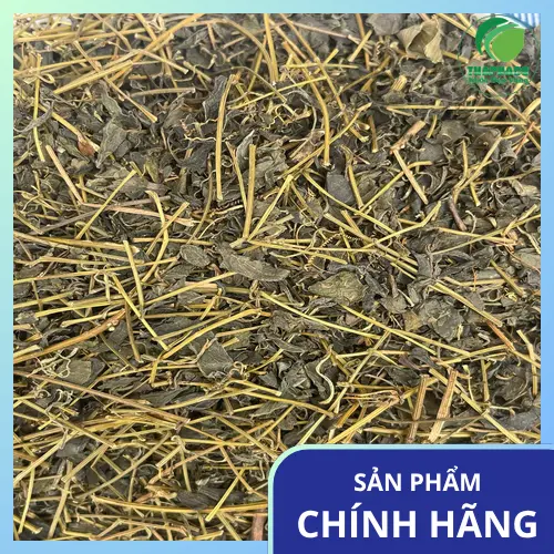 Công dụng của Giảo Cổ Lam