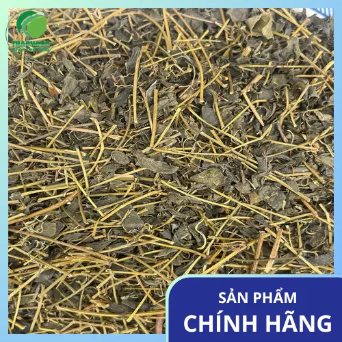 Tuân thủ liều lượng và theo dõi phản ứng cơ thể khi dùng Giảo Cổ Lam