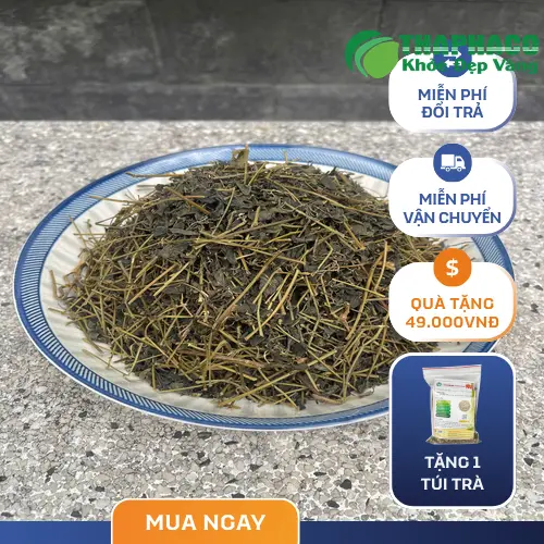 Cách pha trà Giảo Cổ Lam