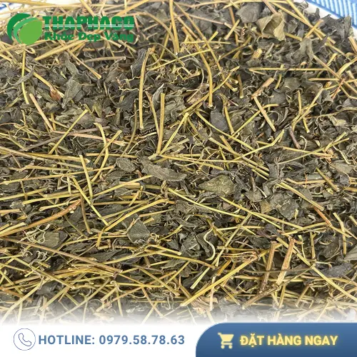 Trà giảo cổ lam giúp hỗ trợ sức khỏe gan