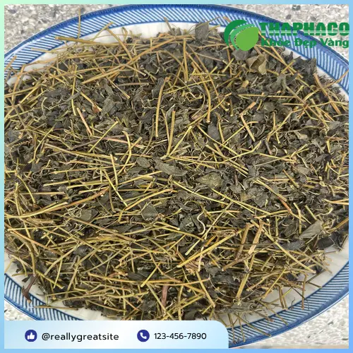 Hình ảnh lá Giảo cổ lam khô và nước trà