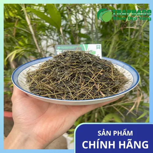 Giảo Cổ Lam chất lượng tại THAPHACO