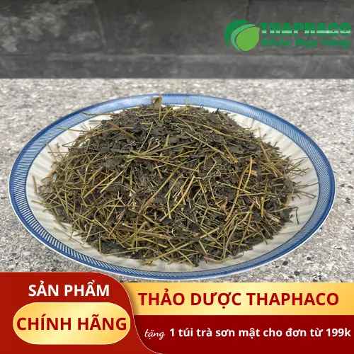 Cửa hàng THAPHACO cung cấp Giảo Cổ Lam khô chất lượng