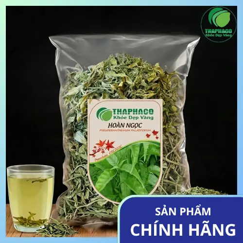 Phụ Nữ Mang Thai Có Uống Lá Hoàn Ngọc Được Không?