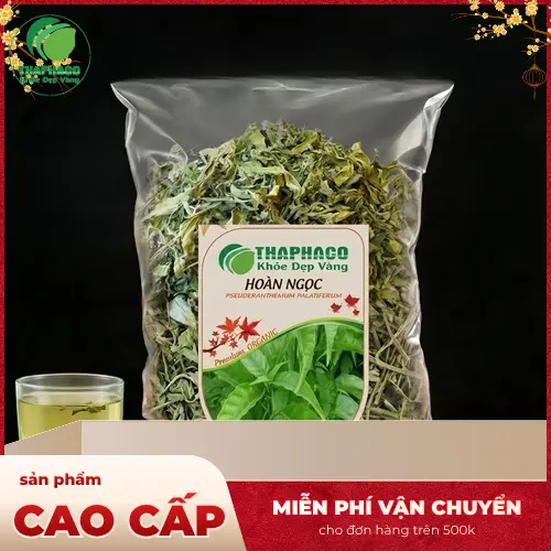 Hình ảnh cây Hoàn Ngọc tươi xanh