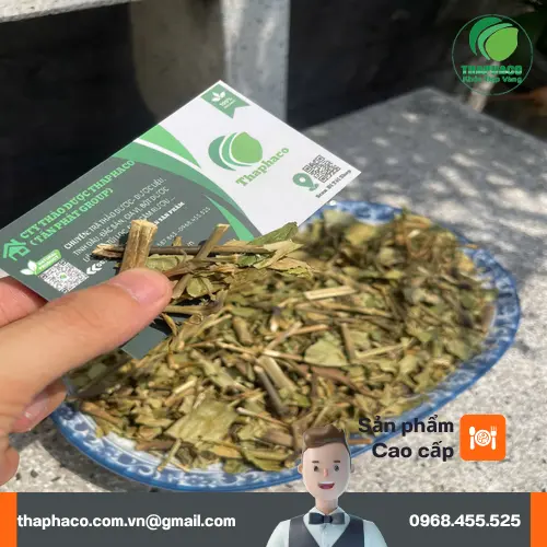 Hoàn ngọc khô được đóng gói cẩn thận tại THAPHACO