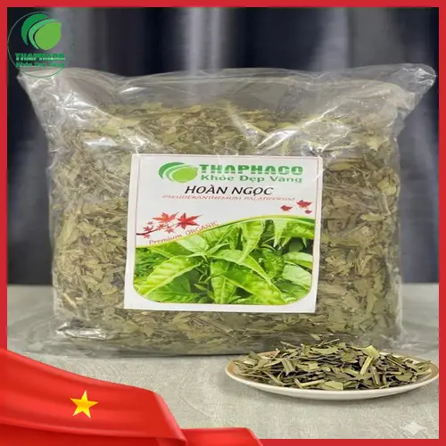 Cây Hoàn Ngọc đỏ có thân và lá ánh đỏ