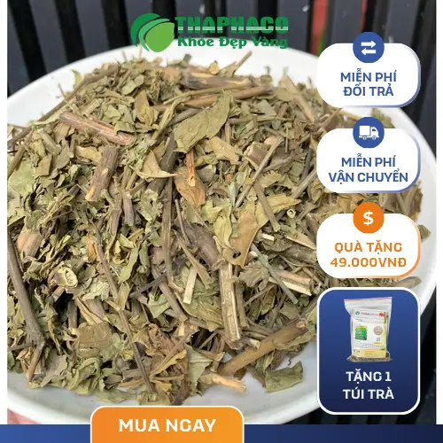 Rủi ro khi bà bầu uống lá Hoàn Ngọc