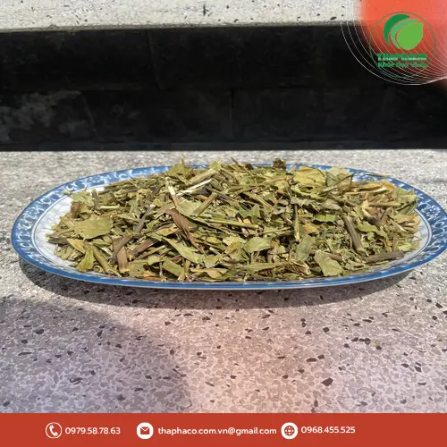 Hoàn Ngọc khô, sấy khô chất lượng tại THAPHACO