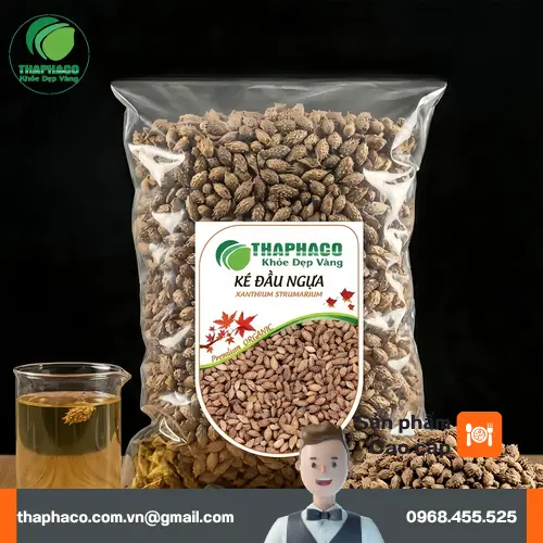 Hình ảnh cây Ké Đầu Ngựa tươi với lá và thân