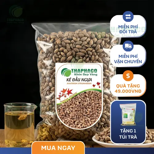 Cây Ké Đầu Ngựa và Quả Ké Đầu Ngựa