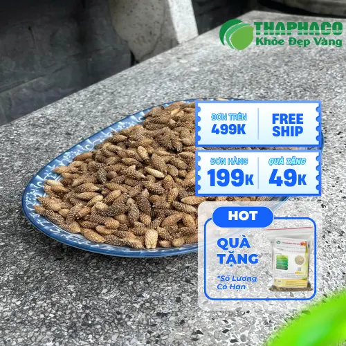 Hình ảnh quả Ké Đầu Ngựa khô với nhiều gai nhọn