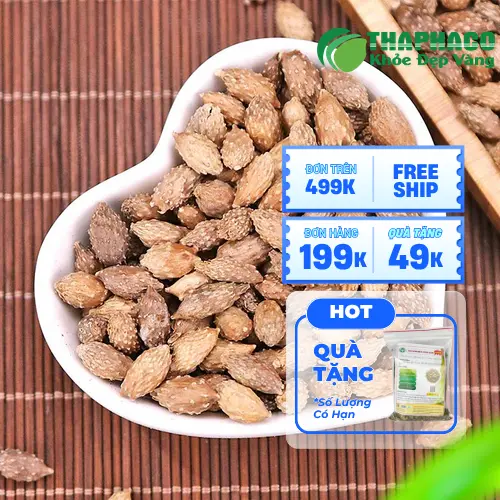 Ké Đầu Ngựa hỗ trợ giảm các triệu chứng mũi xoang