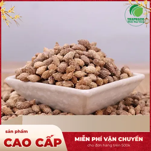Rủi ro khi dùng ké đầu ngựa cho bà bầu