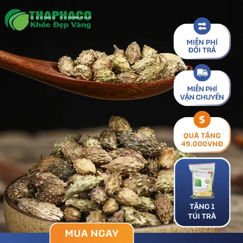 Ké Đầu Ngựa khô đã được sơ chế sẵn sàng để sử dụng