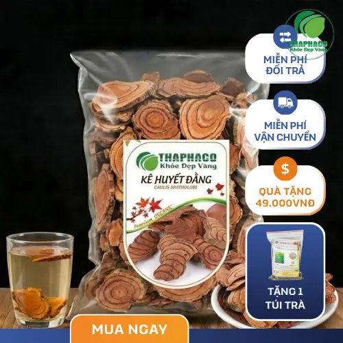 Kê Huyết Đằng tươi