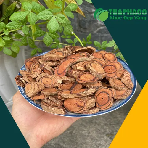 Kiểm tra chất lượng Kê Huyết Đằng