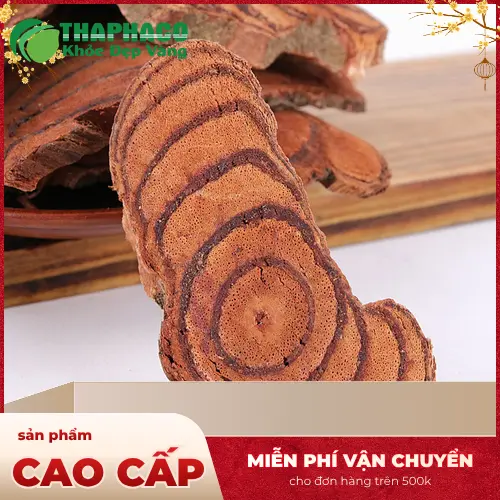Kiểm tra mùi của Kê Huyết Đằng khô
