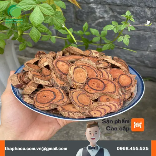Cách dùng Kê Huyết Đằng an toàn