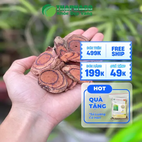 Cầm nắm Kê Huyết Đằng để kiểm tra độ cứng và tình trạng