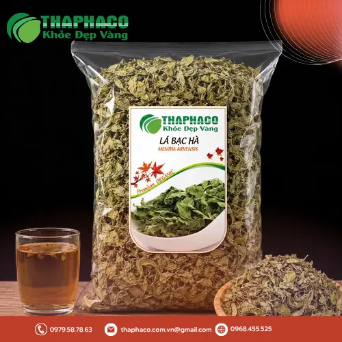 Cây bạc hà tươi xanh